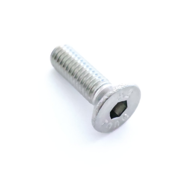 Śruba z łbem grzybkowym M5x10 mm