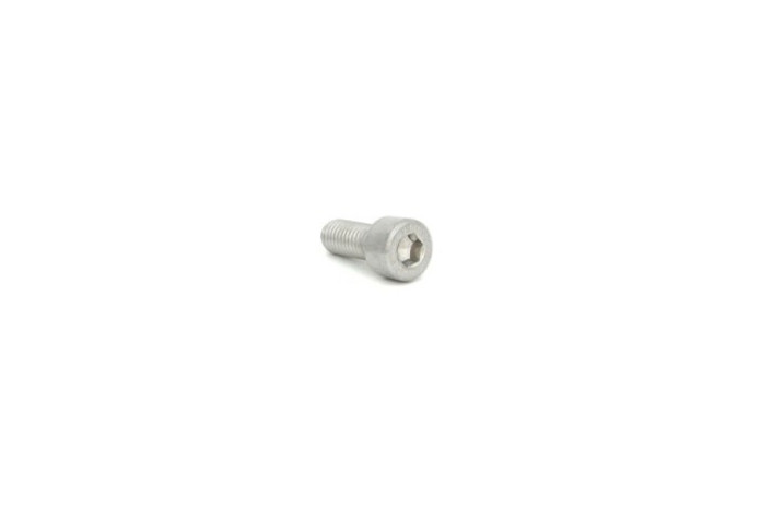 Śruba z łbem walcowym M8x25 mm