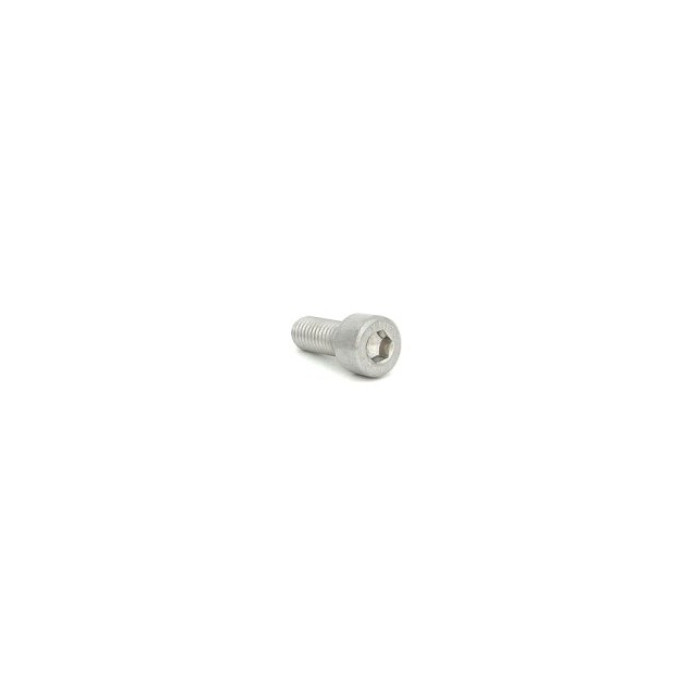 Śruba z łbem walcowym M8x80 mm