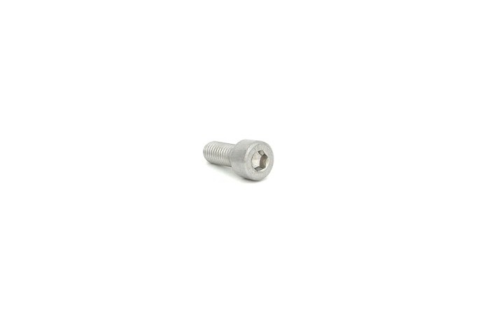 Śruba z łbem walcowym M8x25 mm