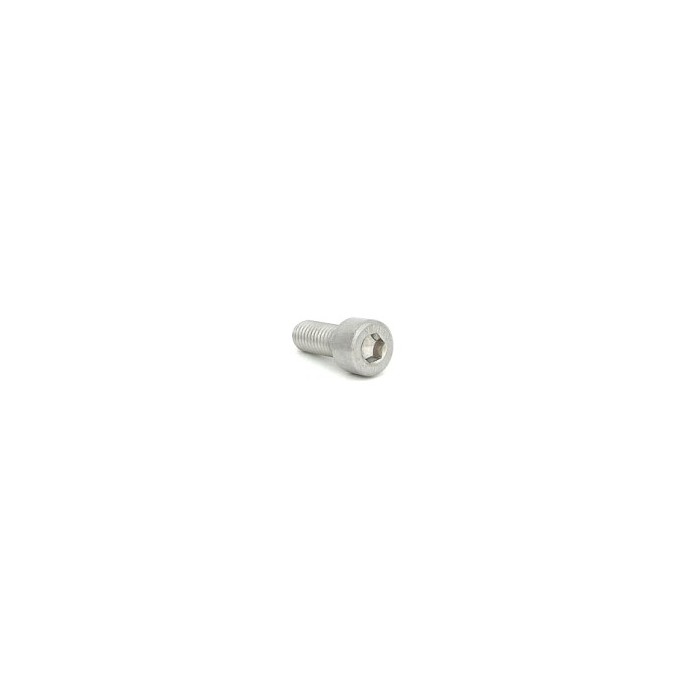 Śruba z łbem walcowym M8x20 mm